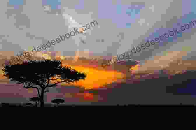 A Breathtaking Sunset Over The African Savanna. Kossula: Memories Of Africa CGP