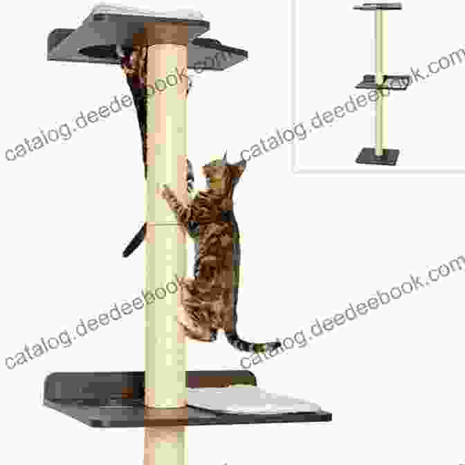 A Cat Climbing On A Tall Cat Tree Meow: A Of Happiness For Cat Lovers