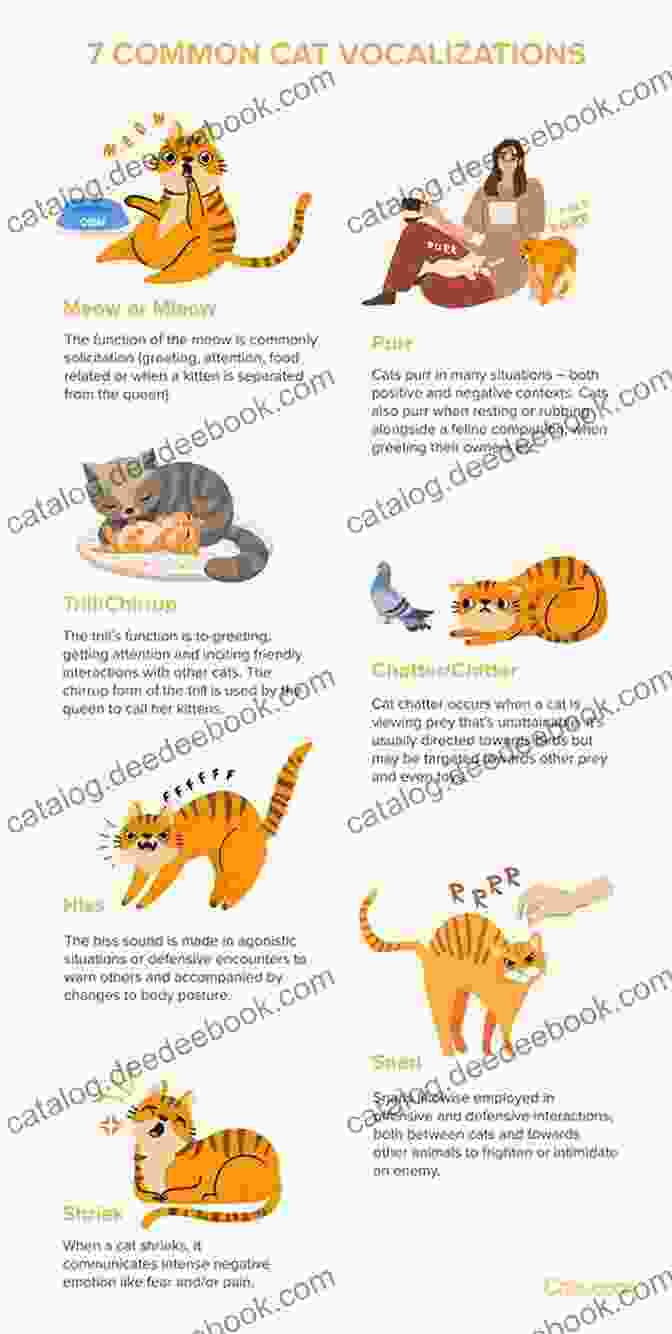 A Chart Of Different Cat Vocalizations Meow: A Of Happiness For Cat Lovers