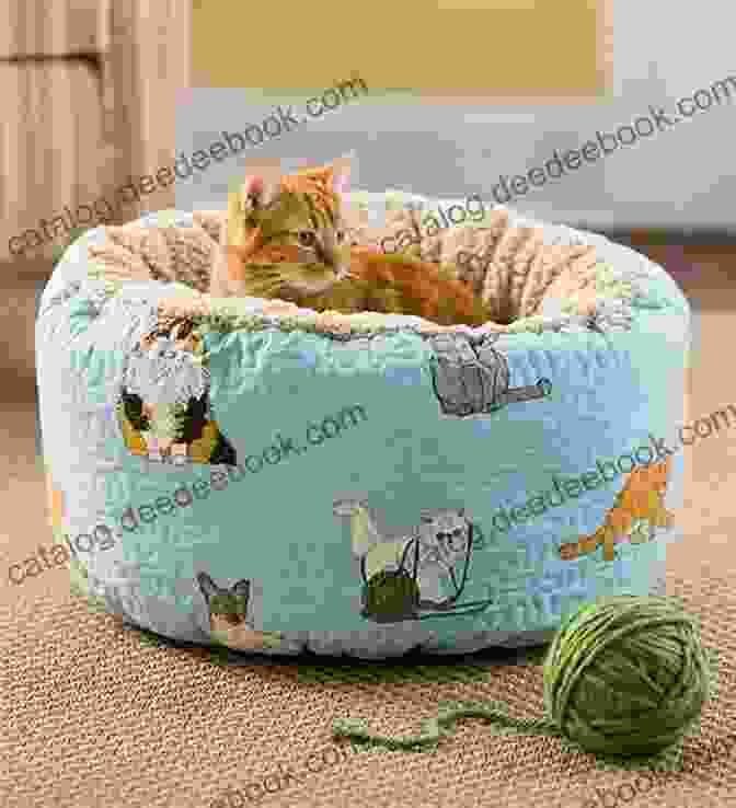 A Cozy Cat Bed In A Quiet Corner Meow: A Of Happiness For Cat Lovers