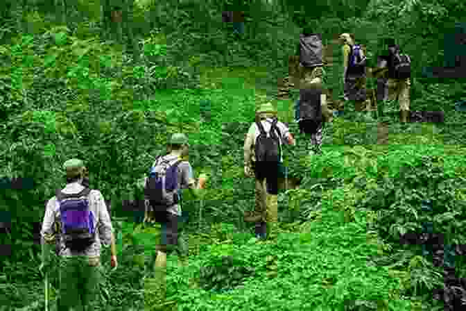 A Group Of Hikers Trekking Through A Lush Rainforest In Africa. Kossula: Memories Of Africa CGP