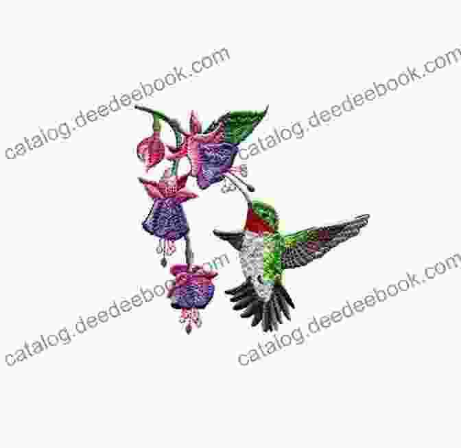 A Sweet Tweets Embroidery Pattern Of A Hummingbird Sweet Tweets: Simple Stitches Whimsical Birds