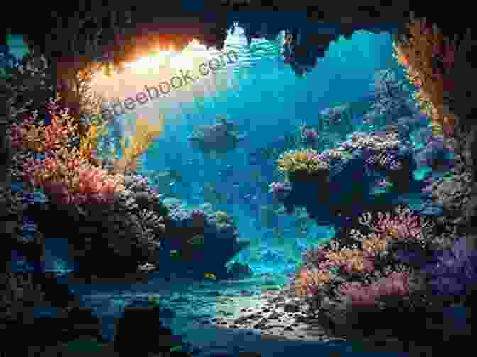 Aquaria Kingdom, An Underwater Realm Of Bioluminescent Shores And Ancient Coral Reefs Cursed Beauty (The Six Kingdoms 7)