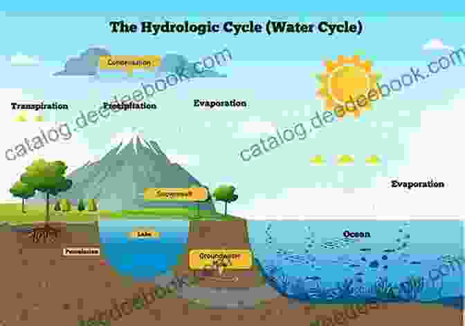 Diagram Of The Water Cycle, Illustrating The Continuous Movement Of Water On, Above, And Below The Earth's Surface Grade 9 1 GCSE Geography OCR B: Geography For Enquiring Minds Revision Guide: Ideal For Catch Up And The 2024 And 2024 Exams (CGP GCSE Geography 9 1 Revision)