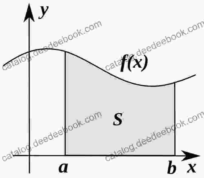 Graph Of A Function's Integral Calculus For Kids: Basic Concepts Of Calculus For Beginners