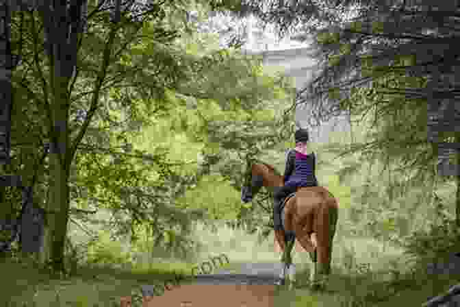 Horseback Riders Navigating A Trail Through A Lush Forest At Top Speed (Quartz Creek Ranch)