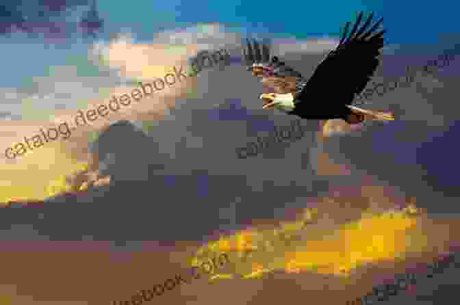 Majestic Bald Eagle Soaring Through The Wide Expanse Of The Great Plains, Its Wings Outstretched Against The Blue Sky. Unbelievable Pictures And Facts About Montana