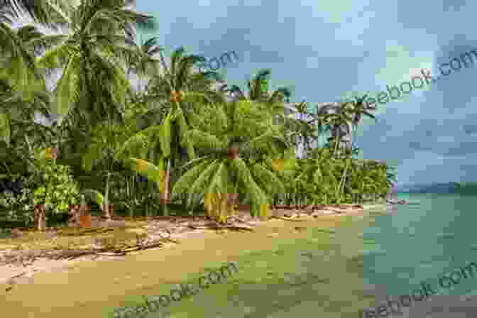 Palm Fringed Beach In The Caribbean South Sea Caribbean: South Sea Photo