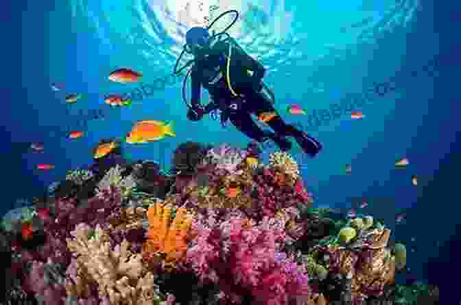 Scuba Diver Exploring A Vibrant Coral Reef Teeming With Colorful Marine Life THE FEET COLLECTION VOL 20: SPECIAL ONLY AT THE BEACH