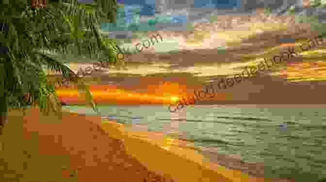 Sunset In The Caribbean South Sea Caribbean: South Sea Photo