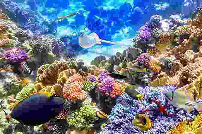 Underwater View Of The Great Barrier Reef Did You Know This : Russia / Russia For Kids: About Russia For Kids Russia Country Russian People For Kids (Did You Know This?)