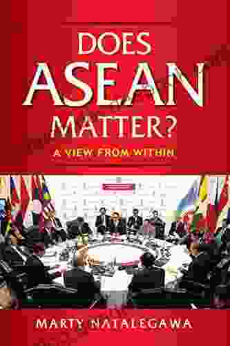 Does ASEAN Matter?: A View From Within