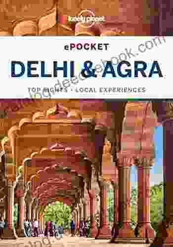 Lonely Planet Pocket Delhi Agra (Travel Guide)