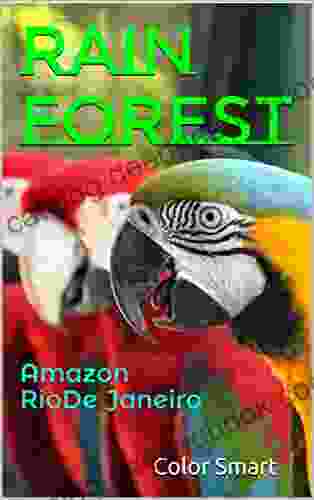 Rain Forest: Amazon Rio De Janeiro (Photo Book 51)