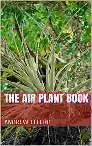The Air Plant Sigrid Undset